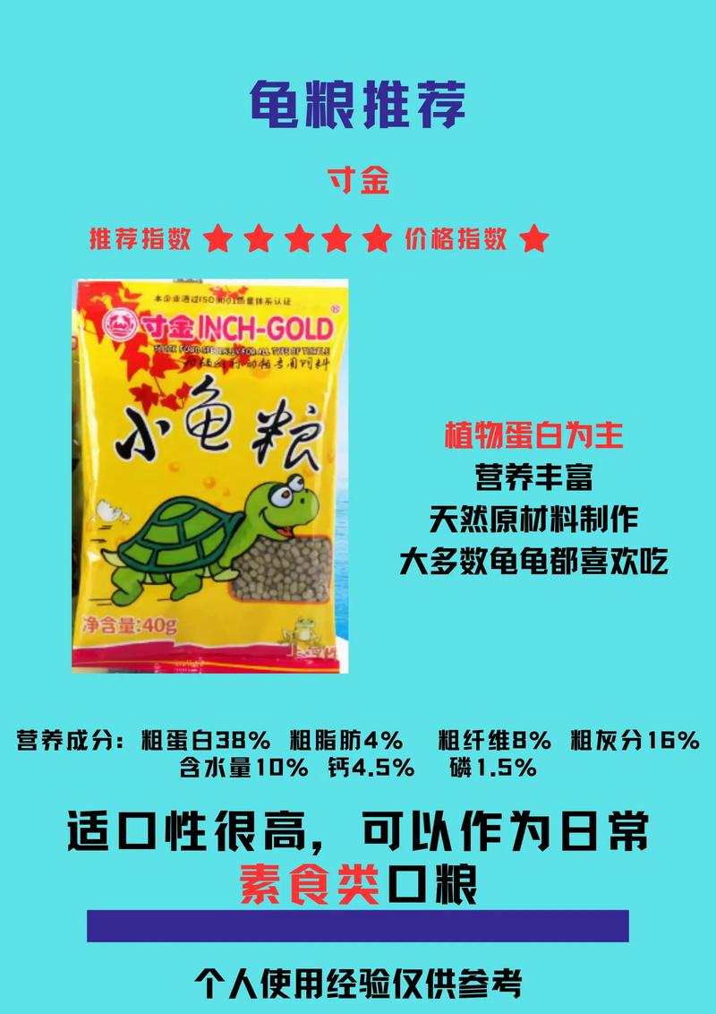 龟粮选择指南：新手入门篇