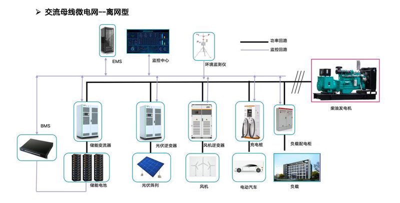 宠物蜥蜴:初学者的养护指南