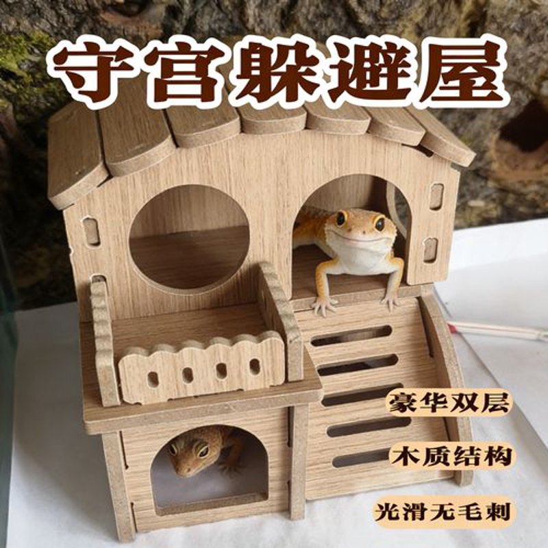 如何安全地照顾宠物蛇?